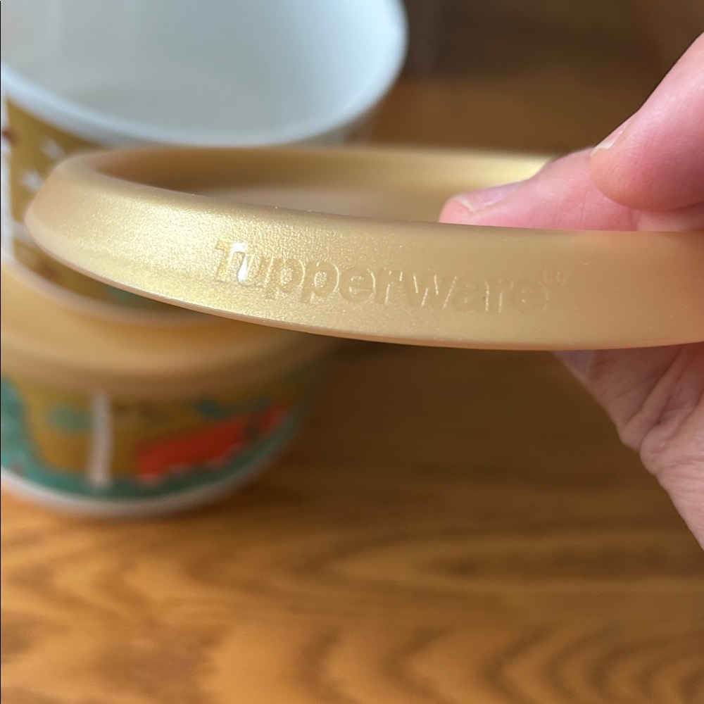 Tupperware Winter Storage Containers - Picture 4 of 8